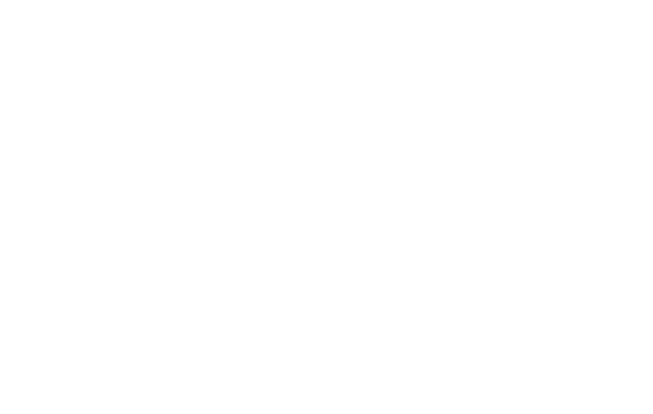 FF Consulting